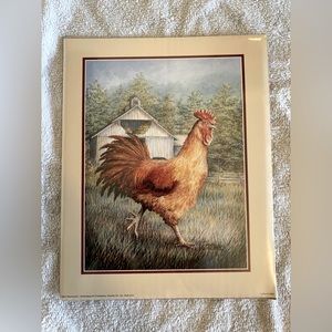 Rooster & Hen Pictures